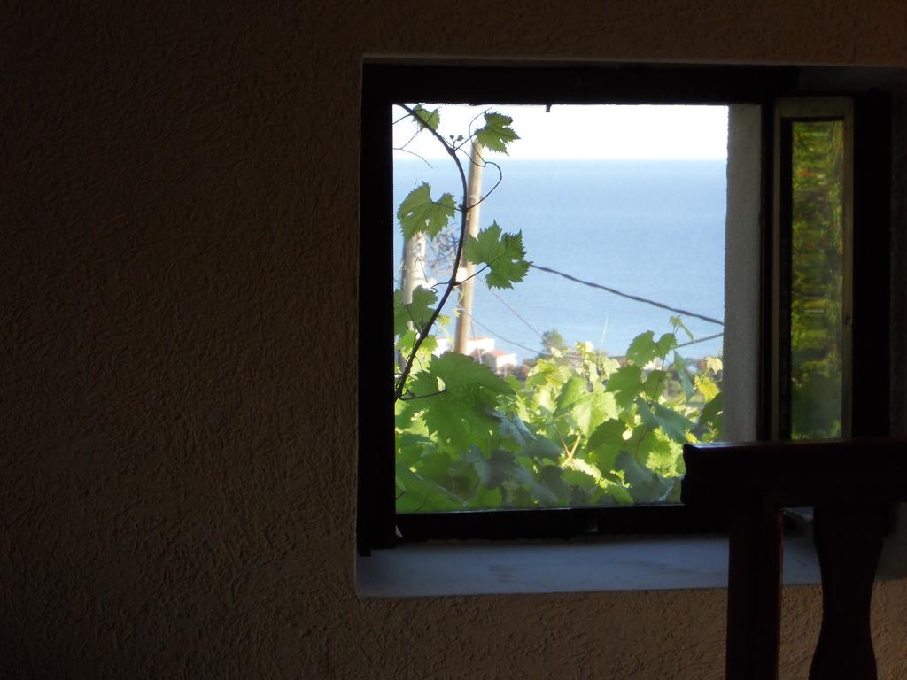 Djukovic Apartment *